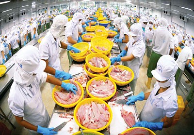 Workers of an exporters process agricultural products ( File Photo: SGGP)